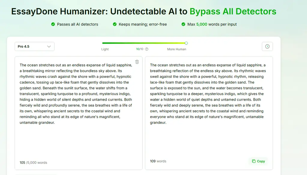 EssayDone Humanizer