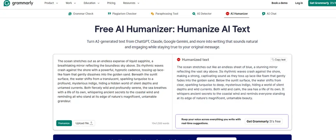 Grammarly AI Humanizer